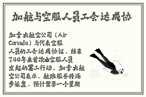 百合车车描写文字
